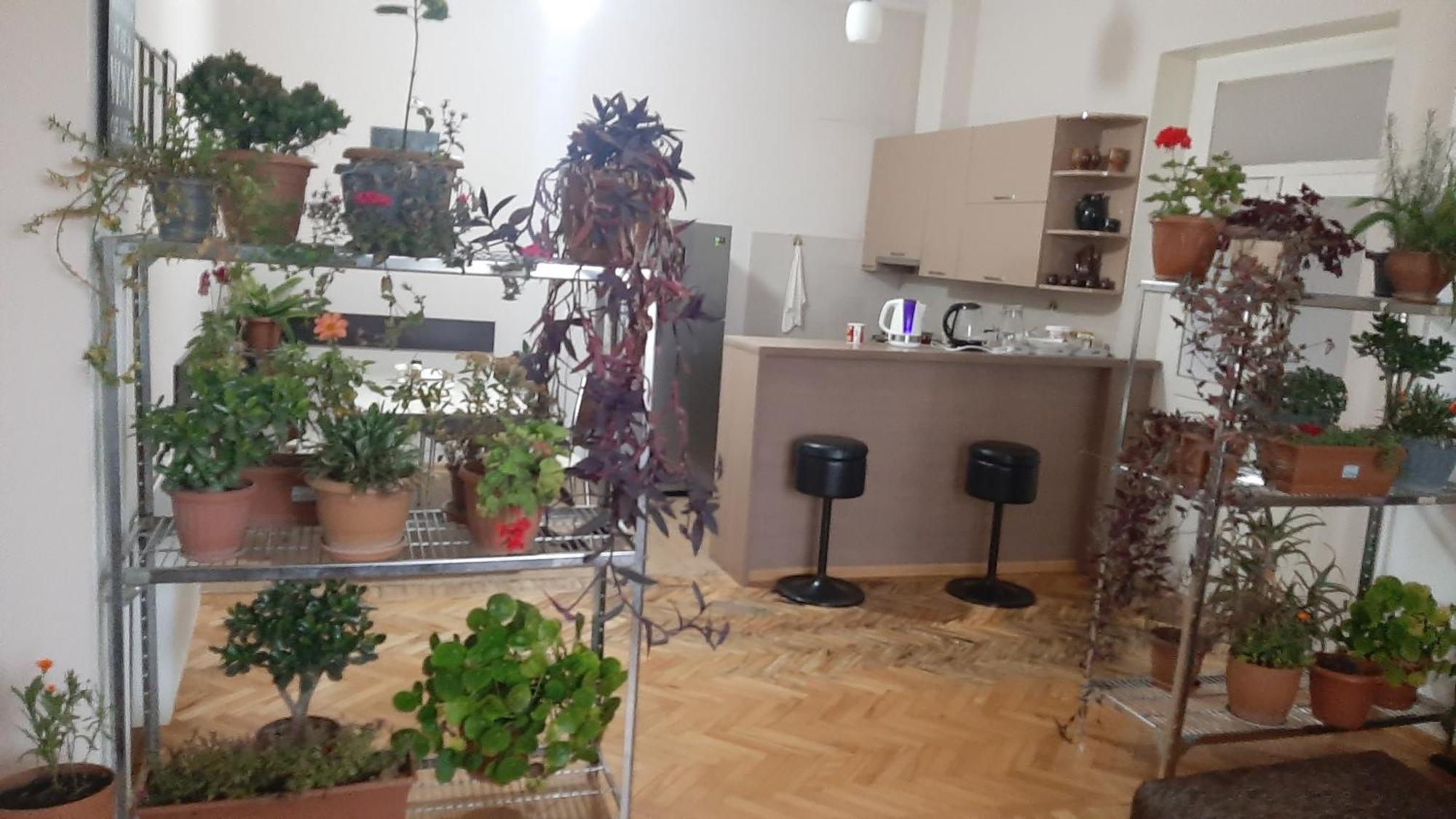Guest House Vista Sighnaghi Bagian luar foto