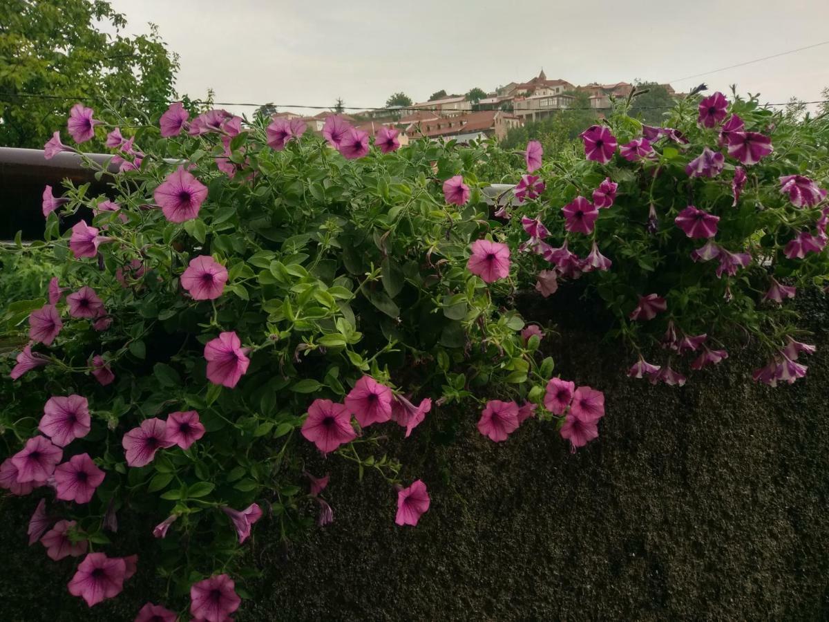 Guest House Vista Sighnaghi Bagian luar foto