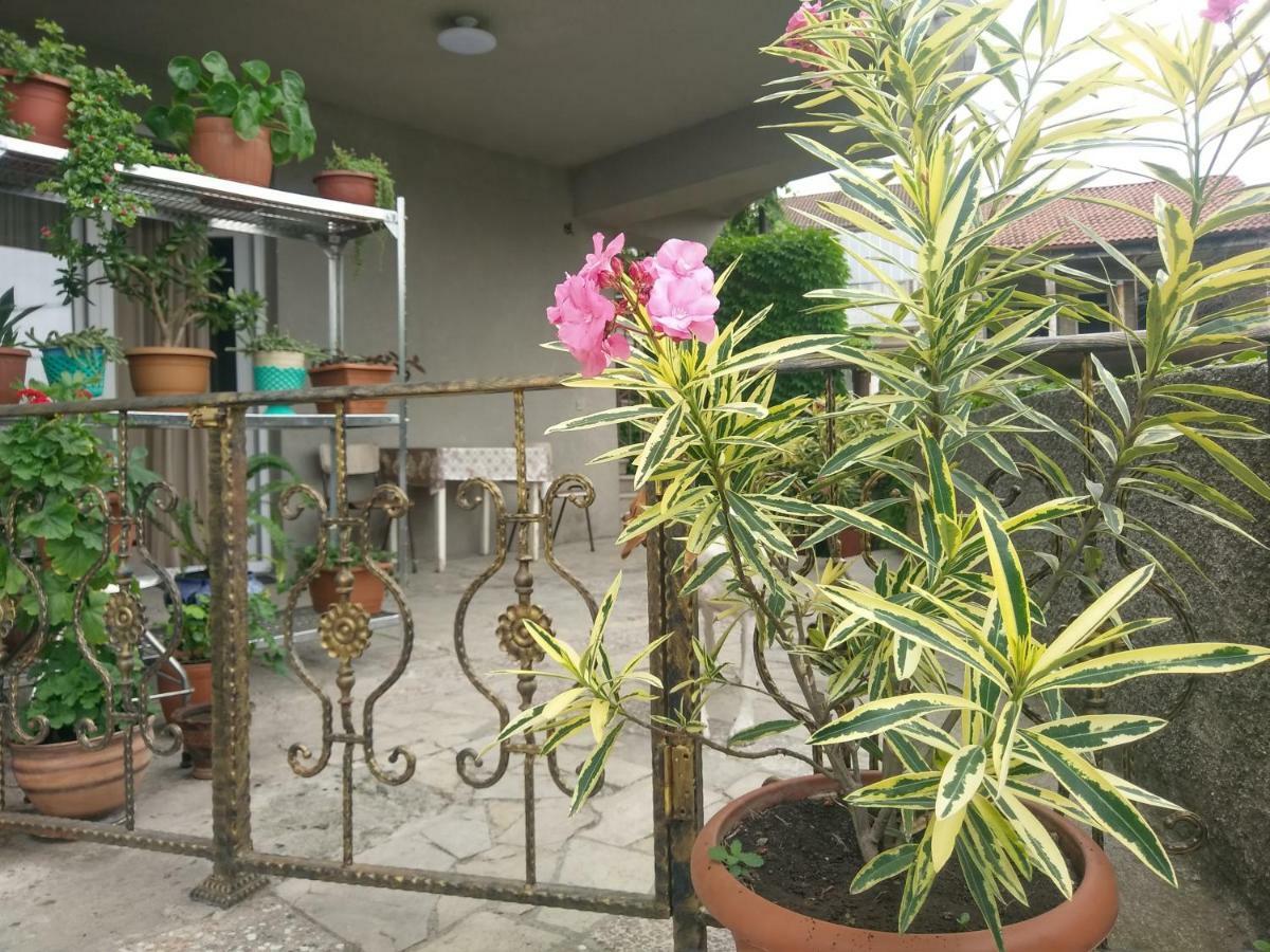 Guest House Vista Sighnaghi Bagian luar foto