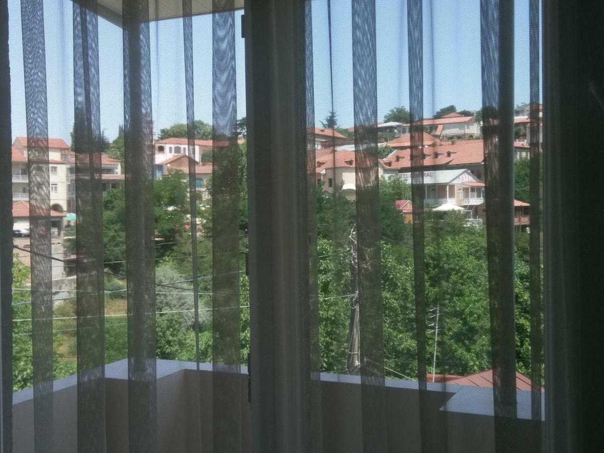 Guest House Vista Sighnaghi Bagian luar foto